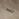 481H1008029
