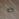 A118107013