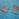 B218404431DY