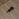 M115207171