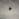 S113102029